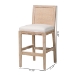 bali & pari Ashford Whitewash Rattan Counter Stool - Mahogany Wood Frame with Handwoven Wicker Backrest and Braided Rope Inserts for Coastal Kitchen - BSOMD-39961-Ashford-White Wash-Wood-Cushion-CS