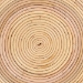 bali & pari Brookwood Natural Rattan End Table : Handcrafted Wicker Sculptural Accent Table with Pedestal Base for Living Room or Sun Room - BSOBrookwood-Natural Rattan-ET