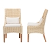bali & pari Haybourne Natural Rattan 2-Piece Dining Chair Set - Handwoven Wicker Accent Seating with Wingback Frame for Kitchen or Dining Room - BSOHaybourne-Natural Rattan-Cushion-DC