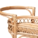 bali & pari Raul Natural Rattan Kitchen Cart - 2-Tier Handwoven Wicker Storage Trolley with Handle for Kitchen or Lounge - BSORaul-Natural Rattan-Cart