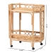 bali & pari Rene Natural Rattan Kitchen Cart - 2-Tier Handwoven Wicker Storage Trolley with Handle for Kitchen or Lounge - BSORene-Natural Rattan-Cart