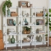 Baxton Studio Lucera Bobbin 5-Tier Display Shelf, White - BSOMG9011-5-White-Shelf