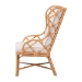 bali & pari Todd Natural Rattan Armchair - BSOTodd-Natural Brown Rattan-Cushion-AC