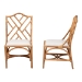 bali & pari Cedric Natural Rattan 2-Piece Dining Chair Set with Cushioned Seat - BSOCedric-Light Honey Rattan-Cushion-DC