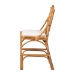 bali & pari Cedric Natural Rattan Counter Stool with Cushioned Seat - BSOCedric-Light Honey Rattan-Cushion-CS