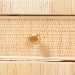 bali & pari Dalida Natural Rattan Writing Desk with Two Drawers - BSOLina-Light Honey-Desk