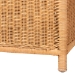 bali & pari Creusa Natural Rattan Storage Bench with Bow Detail - BSOWS295-Large-Honey Ada Rattan-Bench