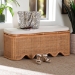 bali & pari Rivka Natural Rattan Storage Bench with Scalloped Base and Cushion - BSOWS296-Original-Honey Ada Rattan-Cushion-Bench