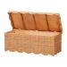bali & pari Yoselin Natural Rattan Storage Bench with Scalloped Edge Frame - BSOWS297-Large-Honey Ada Rattan-Bench