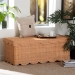 bali & pari Yoselin Natural Rattan Storage Bench with Scalloped Edge Frame - BSOWS297-Large-Honey Ada Rattan-Bench