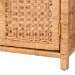 bali & pari Hendrina Natural Rattan and Mahogany Wood Shoe Cabinet, 3-Tier - BSOWS329-Honey Ada Rattan-Shoe Cabinet