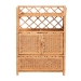 bali & pari Hendrina Natural Rattan and Mahogany Wood Shoe Cabinet, 4-Tier - BSOWS330-Honey Ada Rattan-Shoe Cabinet