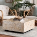 bali & pari Fraley Capiz Shell Coffee Table with Plinth Base - BSOF2508-FT5-Capiz-CT