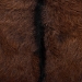 bali & pari Fawn 2-Piece Genuine Goat Leather Dining Chair Set - BSOFawn-Teak/Goat Hide-DC