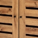 Baxton Studio Vander Modern and Contemporary Oak Brown Finished Wood and Black Metal 2-Door Shoe Cabinet - BSOMP007-Wotan Oak-Shoe Cabinet