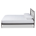 Baxton Studio Nano Modern and Contemporary Black Finished Metal Full Size Platform Bed - BSOTS-Nano-Black-Full
