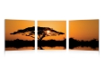 Baxton Studio Savannah Sunset Mounted Photography Print Triptych