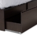 Baxton Studio Blaine Modern and Contemporary Dark Brown Finished Wood Queen Size 6-Drawer Platform Storage Bed - BSOSEBED1302026-Modi Wenge-Queen