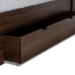 Baxton Studio Tristan Modern and Contemporary Walnut Brown Finished Wood 1-Drawer Queen Size Platform Storage Bed with Shelves - BSOSEBED13017026-Columbia-Queen