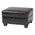 Baxton Studio Agustus Brown Leather Storage Ottoman affordable modern furniture in Chicago, Brown Bi-cast Leather Storage Ottoman, Living Room Furniture Chicago