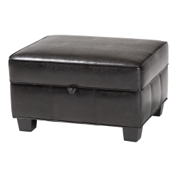 Baxton Studio Agustus Brown Leather Storage Ottoman affordable modern furniture in Chicago, Brown Bi-cast Leather Storage Ottoman, Living Room Furniture Chicago