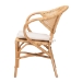 bali & pari Varick Modern Bohemian Natural Brown Finished Rattan Dining Chair - BSORCN001-Rattan-DC