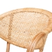 bali & pari Varick Modern Bohemian Natural Brown Finished Rattan Dining Chair - BSORCN001-Rattan-DC