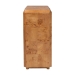 bali & pari Valora Modern and Contemporary Natural Mappa Real Burl Wood 2-Door Console Cabinet - BSOSVN-1308B-Natural Burl-Nebu-2DR-Cabinet