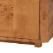 bali & pari Valora Modern and Contemporary Natural Mappa Real Burl Wood 2-Door Console Cabinet - BSOSVN-1308B-Natural Burl-Nebu-2DR-Cabinet