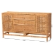 bali & pari Vivan Bohemian Honey Rattan and Mahogany Wood 3-Drawer Storage Cabinet - BSOVivan-SV2089-Natural-Rattan-Cabinet