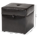 Baxton Studio Sydney Brown Modern Ottoman - Storage Ottoman - BSOXB-01-dark brown