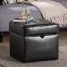 Baxton Studio Sydney Brown Modern Ottoman - Storage Ottoman - BSOXB-01-dark brown