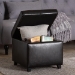 Baxton Studio Full Leather Storage Cube Ottoman - BSO0380-001-dark brown